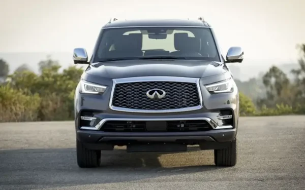 Infiniti QX80 2019